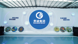 完美网页版